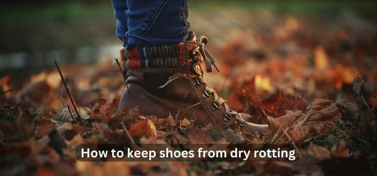 How to Keep Shoes from Dry Rotting