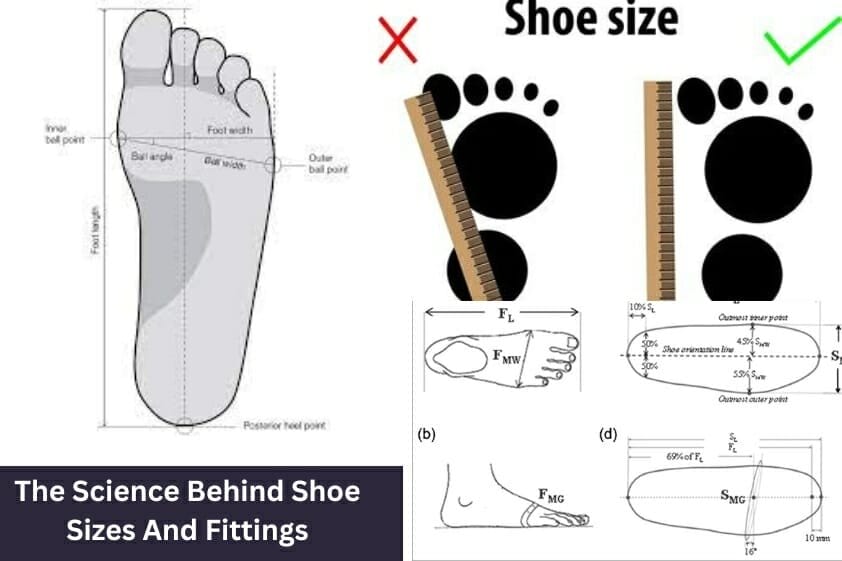 No More Sore Feet: The Science Behind Shoe Sizes and Fittings